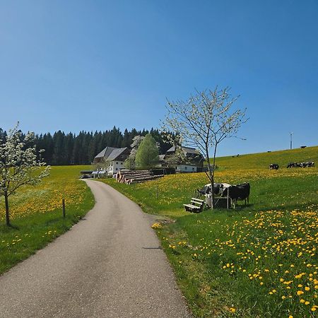 Lorenzenhaeusle Titisee-Neustadt Exterior foto