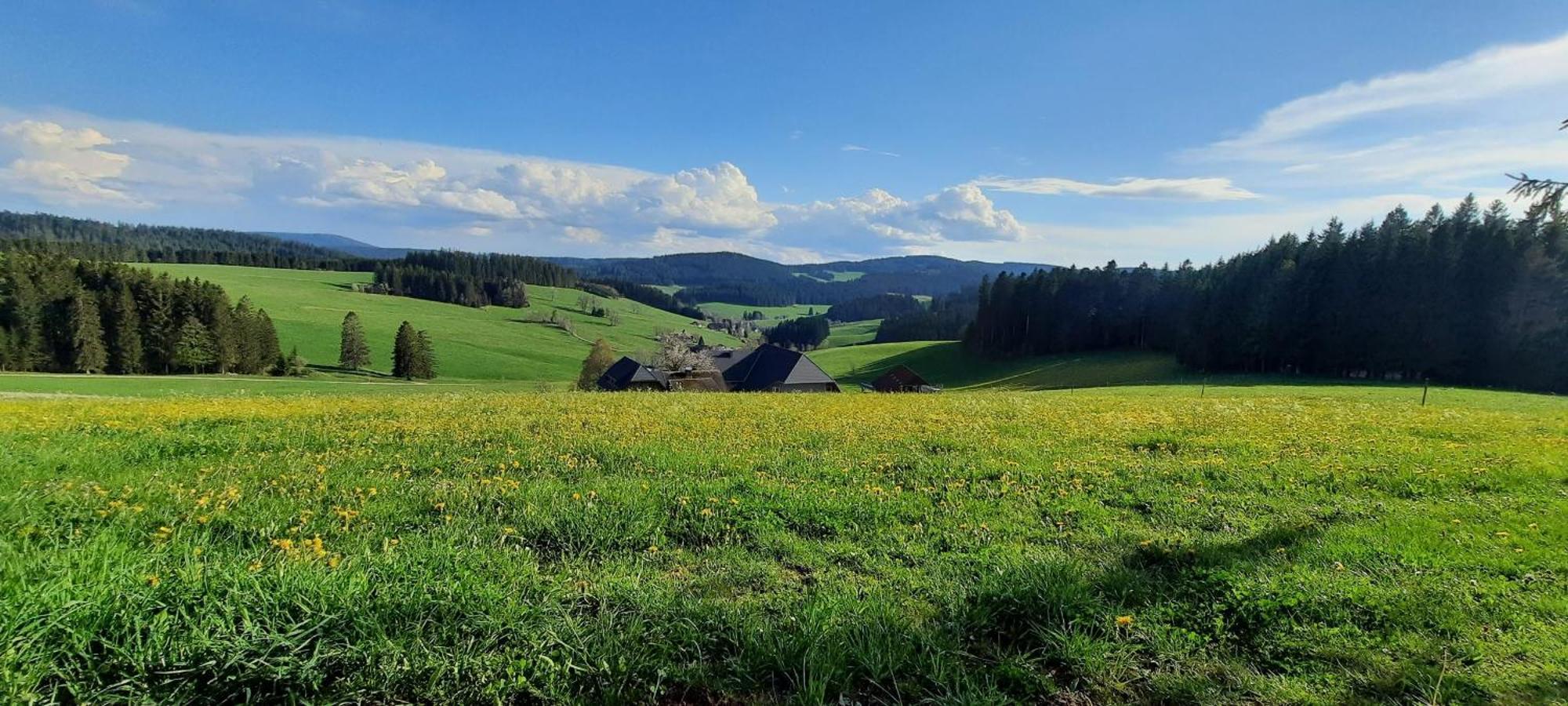 Lorenzenhaeusle Titisee-Neustadt Exterior foto